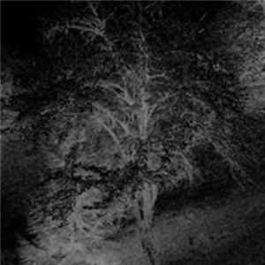 Shallnotkill - Shallnotkill Album