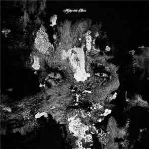 Various - Memento Mori Album
