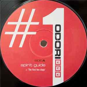 Spirit Guide - The First Few Steps Album