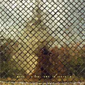 Jesse Paul Miller - Asia Radio Environments Album