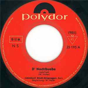Jodelduett Rüedi-Rüegsegger - D' Nachtbuebe Album