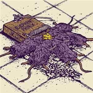 Elephant Phinix / JKone - The Providers Album
