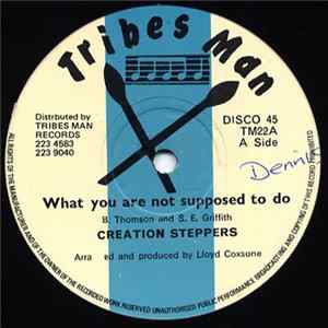 Creation Steppers - What You Are Not Supposed To Do Album