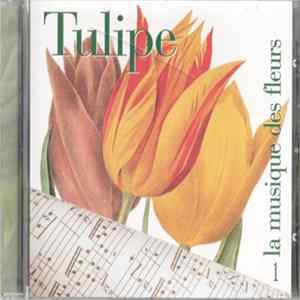 Various - Tulipe Album