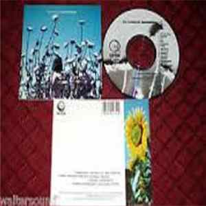 The Creatures - Boomerang Album