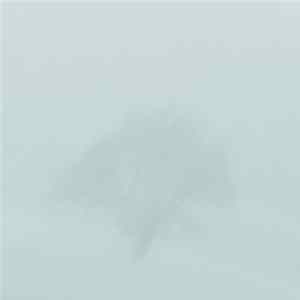 Triac - Days Album