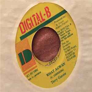 Terry Ganzie - What AGwan Album