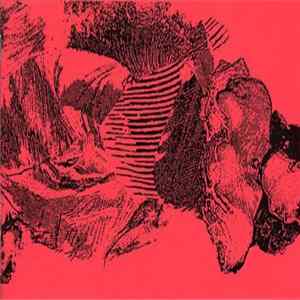 Various - Feminoise - Vancouver Women In Noise Album