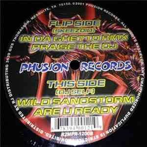 Various - Skeezoid VS. DJ Self Album