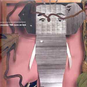 Schneider TM & Static Partake In The Pulseprogramming - Tulsa For One Second Remix Project Album