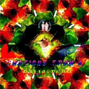 Various - Emotions From A Beija Flor Album