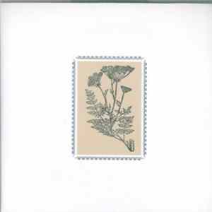 Autumn Grieve - Terra Infinita Extended Edition Album