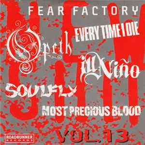 Various - New Shit Vol. 13 Album