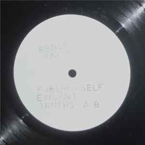 Various - Further Self Evident Truths .... Album