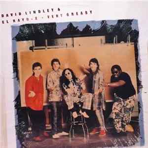 David Lindley And El Rayo-X - Very Greasy Album