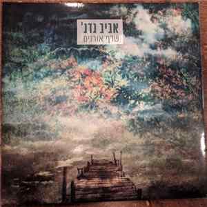 'אביב גדג - שרף אורנים Album