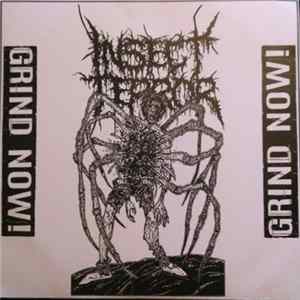 Insect Terror - Grind Now! Album