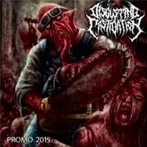 Disgusting Castigation - Promo 2015 Album