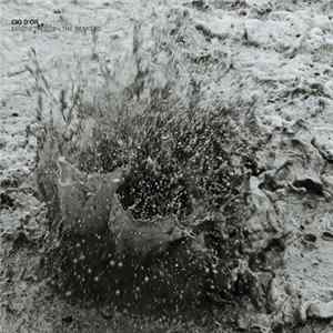 Cio D'or - Magnetfluss - The Remixes Album