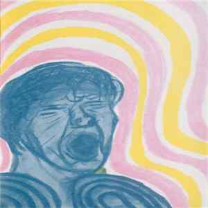 The Discount - Linoleum Im Hirn Album