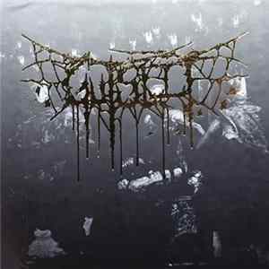 Gutslit - Amputheatre Album