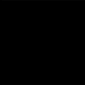 Florian Hidden - Black Death Untitled VI Album