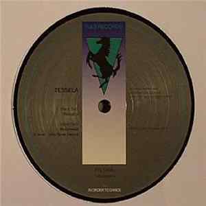 Tessela - Rough 2 Album