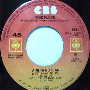 Pink Floyd - Not Now John Album