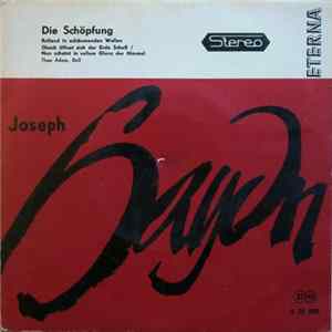 Joseph Haydn, Theo Adam - Die Schöpfung Album