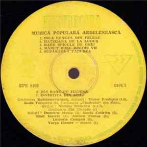 Various - Muzică Populară Transilvaneană Album