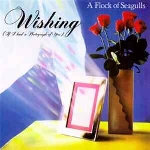 A Flock Of Seagulls - Wishing (If I Had A Photograph Of You) Album