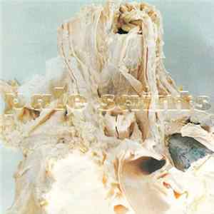Pale Saints - In Ribbons Album