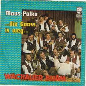 Wachauer Buam - Maus-Polka Album
