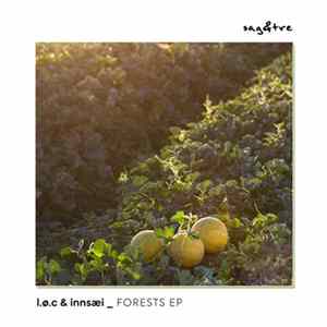 LØC, Innsæi - Forests Album