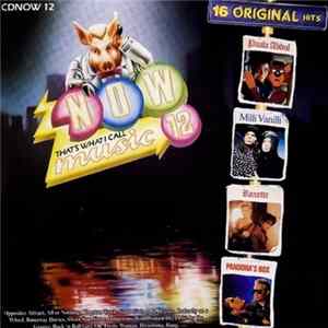 Various - NOW That's What I Call Music 12 Album