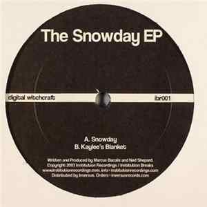 Digital Witchcraft - The Snowday EP Album