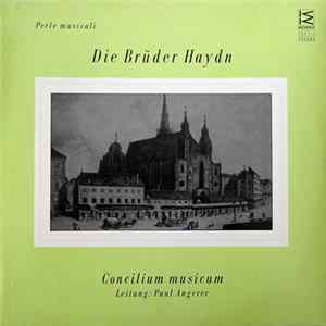 Concilium Musicum Leitung: Paul Angerer - Die Brüder Haydn Album