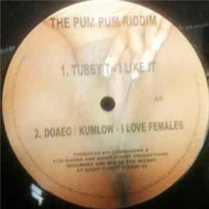Various - The Pum Pum Riddim Vol.4 Album