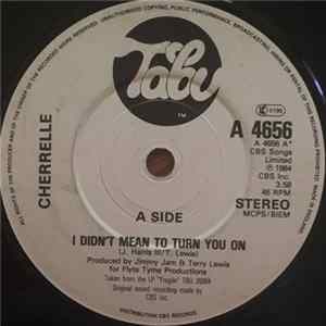 Cherrelle - I Didn't Mean To Turn You On Album