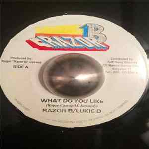 Razor B / Lukie D - What Do You Like Album