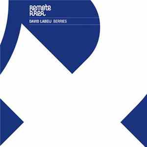 David Labeij - Berries Album