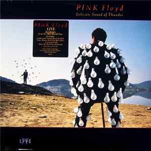 Pink Floyd - Delicate Sound Of Thunder Album