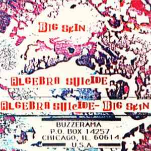 Algebra Suicide - Big Skin Album