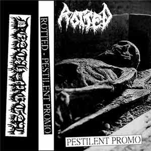 Rotted - Pestilent Promo Album