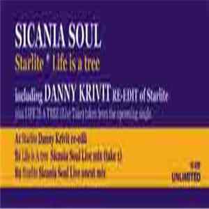 Sicania Soul - Starlite / Life Is A Tree Album