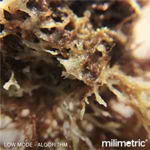 Low Mode - Algorithm Album