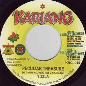 Sizzla / D. Kark / Ras D - Peculiar Treasure / Rhythm Disciples Album