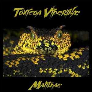 Toxicoa Viperinæ - Matildae Album