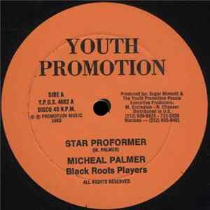 Micheal Palmer / Black Roots Players / Mr. Fagan - Star Proformer / Roots And Reality Album