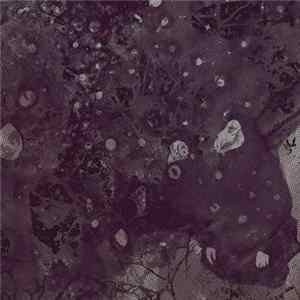Pinkish Black - Razed To The Ground Album